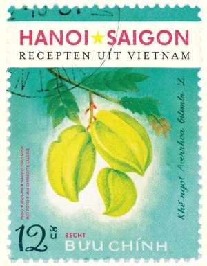 Hanoi Saigon Hanoi Saigon